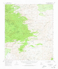 Bellota Ranch, Arizona 1957 (1980) USGS Old Topo Map Reprint 15x15 AZ Quad 314358