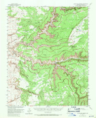 Canyon del Muerto, Arizona 1955 (1959) USGS Old Topo Map Reprint 15x15 AZ Quad 314454