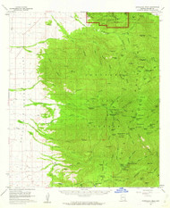 Chiricahua Peak, Arizona 1958 (1962) USGS Old Topo Map Reprint 15x15 AZ Quad 314468