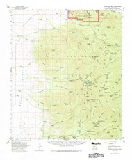 Chiricahua Peak, Arizona 1958 (1983) USGS Old Topo Map Reprint 15x15 AZ Quad 314470