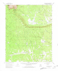 Grandview Point, Arizona 1962 (1981) USGS Old Topo Map Reprint 15x15 AZ Quad 314634