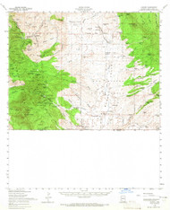 Lochiel, Arizona 1958 (1965) USGS Old Topo Map Reprint 15x15 AZ Quad 314763