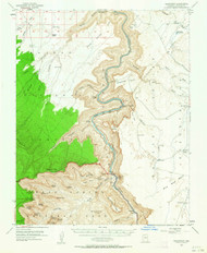Nankoweap, Arizona 1954 (1964) USGS Old Topo Map Reprint 15x15 AZ Quad 314837
