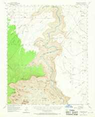 Nankoweap, Arizona 1954 (1970) USGS Old Topo Map Reprint 15x15 AZ Quad 314836