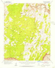 Paria Plateau, Arizona 1954 (1956) USGS Old Topo Map Reprint 15x15 AZ Quad 314874