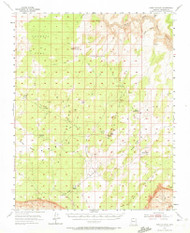 Paria Plateau, Arizona 1954 (1972) USGS Old Topo Map Reprint 15x15 AZ Quad 314872