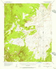 Redrock Valley, Arizona 1953 (1956) USGS Old Topo Map Reprint 15x15 AZ Quad 314963