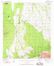 San Vicente, Arizona 1938 (1967) USGS Old Topo Map Reprint 15x15 AZ Quad 315007