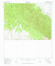 Sunnyside, Arizona 1958 (1965) USGS Old Topo Map Reprint 15x15 AZ Quad 315077