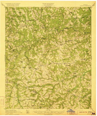 Appling, Georgia 1921 () USGS Old Topo Map Reprint 15x15 GA Quad 247334