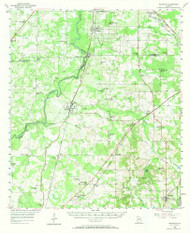 Baconton, Georgia 1956 (1970) USGS Old Topo Map Reprint 15x15 GA Quad 247342