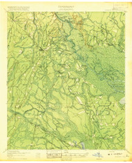 Everett City, Georgia 1918 () USGS Old Topo Map Reprint 15x15 GA Quad 247432