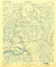 Hortense, Georgia 1918 () USGS Old Topo Map Reprint 15x15 GA Quad 247484