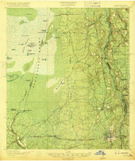 Moniac, Georgia 1918 () USGS Old Topo Map Reprint 15x15 GA Quad 247522