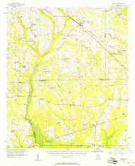 Sasser, Georgia 1956 (1958) USGS Old Topo Map Reprint 15x15 GA Quad 247555