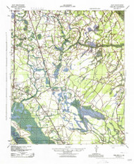 Pineland, South Carolina 1943 () USGS Old Topo Map Reprint 15x15 GA Quad 261921