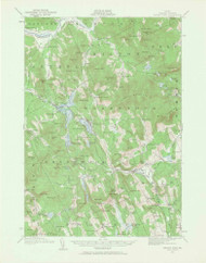 Bryant Pond, Maine 1911 (1961) USGS Old Topo Map Reprint 15x15 ME Quad 306493