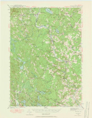 Buxton, Maine 1942 (1965) USGS Old Topo Map Reprint 15x15 ME Quad 306504
