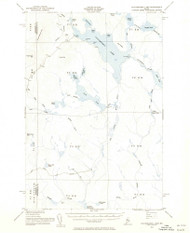 Caucomgomoc Lake, Maine 1954 (1956) USGS Old Topo Map Reprint 15x15 ME Quad 460303