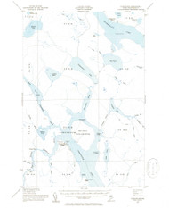 Chesuncook, Maine 1954 (1955) USGS Old Topo Map Reprint 15x15 ME Quad 460317