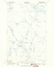 Chesuncook, Maine 1954 (1956) USGS Old Topo Map Reprint 15x15 ME Quad 460318