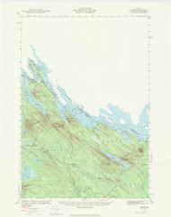 Forest, Maine 1940 (1984) USGS Old Topo Map Reprint 15x15 ME Quad 306563