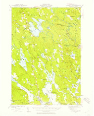 Gardner Lake, Maine 1941 (1958) USGS Old Topo Map Reprint 15x15 ME Quad 460434