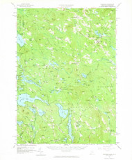 Newfield, Maine 1958 (1965) USGS Old Topo Map Reprint 15x15 ME Quad 460660