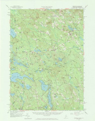 Newfield, Maine 1958 (1973) USGS Old Topo Map Reprint 15x15 ME Quad 306678