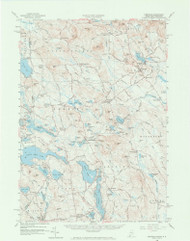 Newfield, Maine 1958 (1973) USGS Old Topo Map Reprint 15x15 ME Quad 306680