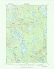 Nicatous Lake, Maine 1932 (1970) USGS Old Topo Map Reprint 15x15 ME Quad 306681