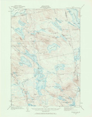 Nicatous Lake, Maine 1932 (1970) USGS Old Topo Map Reprint 15x15 ME Quad 306682