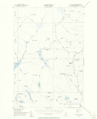 Saint John Pond, Maine 1954 (1956) USGS Old Topo Map Reprint 15x15 ME Quad 460919