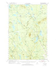 Shin Pond, Maine 1954 (1967) USGS Old Topo Map Reprint 15x15 ME Quad 460871