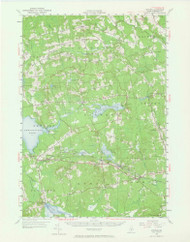 Stetson, Maine 1955 (1964) USGS Old Topo Map Reprint 15x15 ME Quad 306799