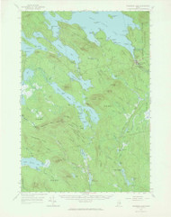 Wabassus Lake, Maine 1963 (1966) USGS Old Topo Map Reprint 15x15 ME Quad 306833