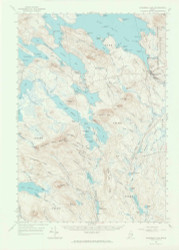 Wabassus Lake, Maine 1963 (1966) USGS Old Topo Map Reprint 15x15 ME Quad 306835