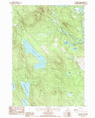 Alligator Lake, Maine 1987 (1988) USGS Old Topo Map Reprint 7x7 ME Quad 104868