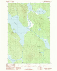 Caucomgomoc Lake East, Maine 1989 (1989) USGS Old Topo Map Reprint 7x7 ME Quad 105009