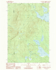 Caucomgomoc Lake West, Maine 1989 (1989) USGS Old Topo Map Reprint 7x7 ME Quad 105010