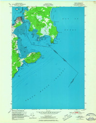 Lubec, Maine 1949 (1967) USGS Old Topo Map Reprint 7x7 ME Quad 806869