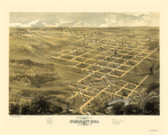 Pleasant Hill, Missouri 1869 Bird's Eye View