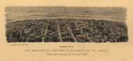 St Louis, Missouri 1904 Bird's Eye View