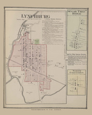 Lynchburg, Ohio 1871 - Highland Co. 29