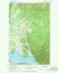 Elmira, Idaho 1951 (1971) USGS Old Topo Map Reprint 15x15 ID Quad 239057