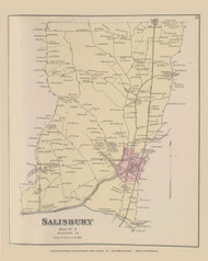 Salisbury - District 9, Maryland 1877 Old Town Map Custom Print - Wicomico Co.