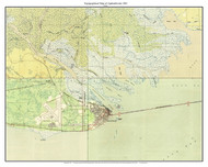 Apalachicola 1945 - Custom USGS Old Topo Map - Florida