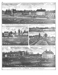 Picture Walton, Ohio 1879 - Old Town Map Reprint - Wyandot County Atlas 53