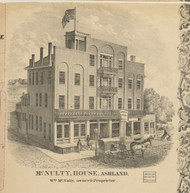 McNulty House - Ashland Co., Ohio 1861 Old Town Map Custom Print - Ashland Co. (Nunan)