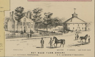 Nut Wood Farm - Champaign Co., Ohio 1858 Old Town Map Custom Print - Champaign Co.